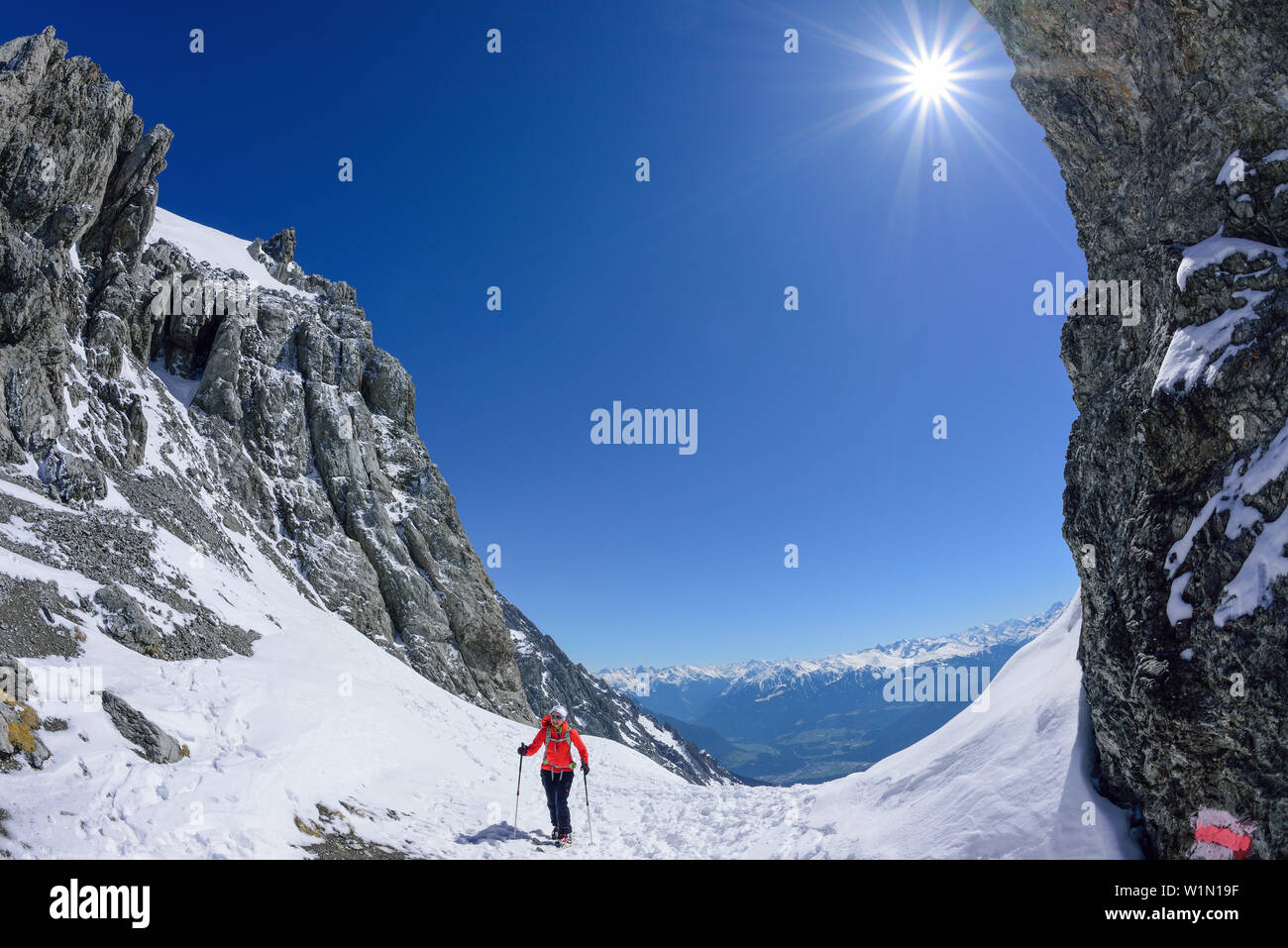 Frau back-country skiing stehend an Scharnitzsattel, Scharnitzsattel, Lechtaler Alpen, Tirol, Österreich Stockfoto