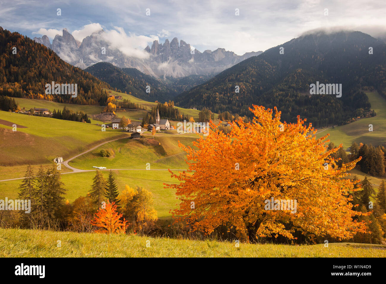 Blick über Val di Funes Tal im Herbst mit der Kirche von St. Magdalena und die Geisler Gruppe, Alpen, Südtirol, Dolomiten, Südtirol, Italien, Europ. Stockfoto