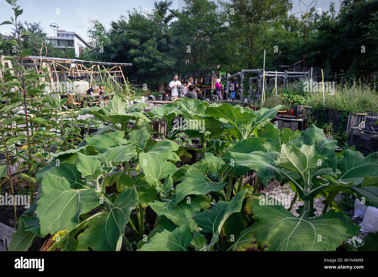 Princess Garden Urban Gardening Mobile Urbane Farm Mit Krautern