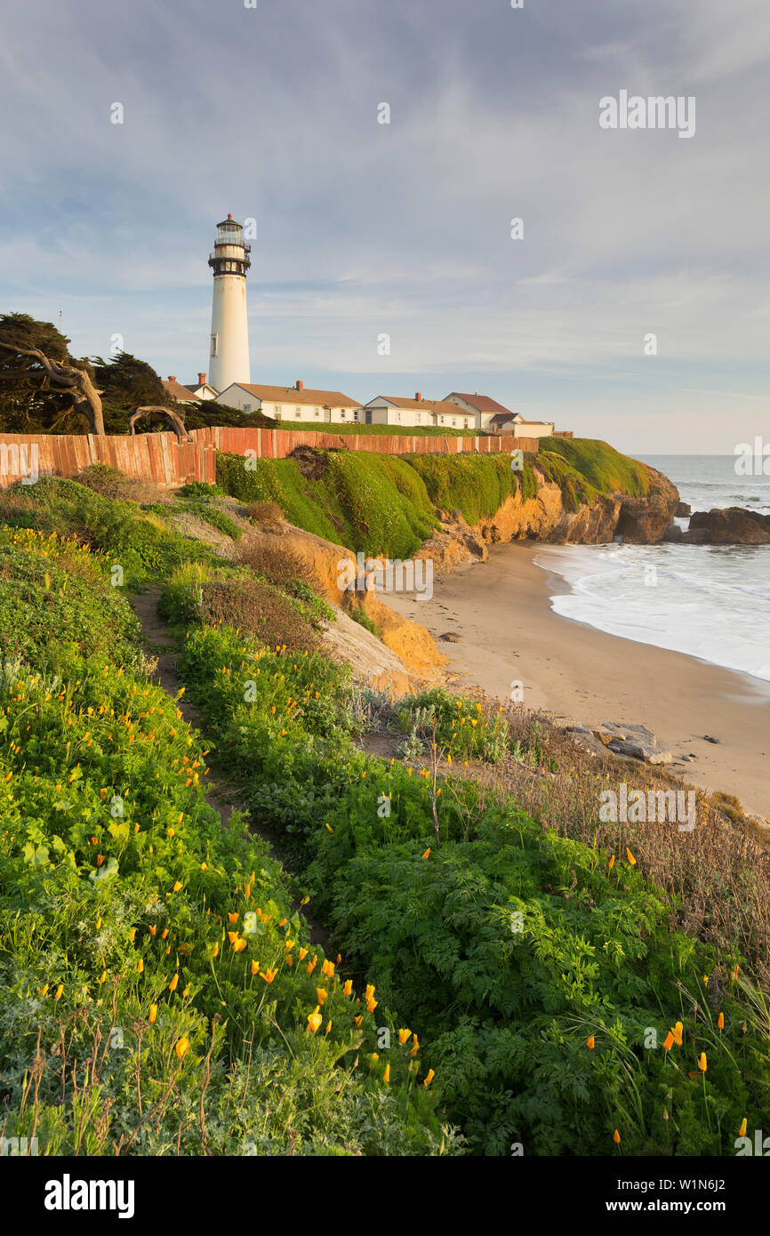 Pigeon Point Lighthouse, Cabrillo Highway 1, Kalifornien, USA Stockfoto
