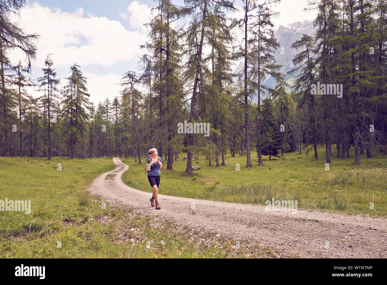 Frau wandern eine Spur im Wald Stockfoto