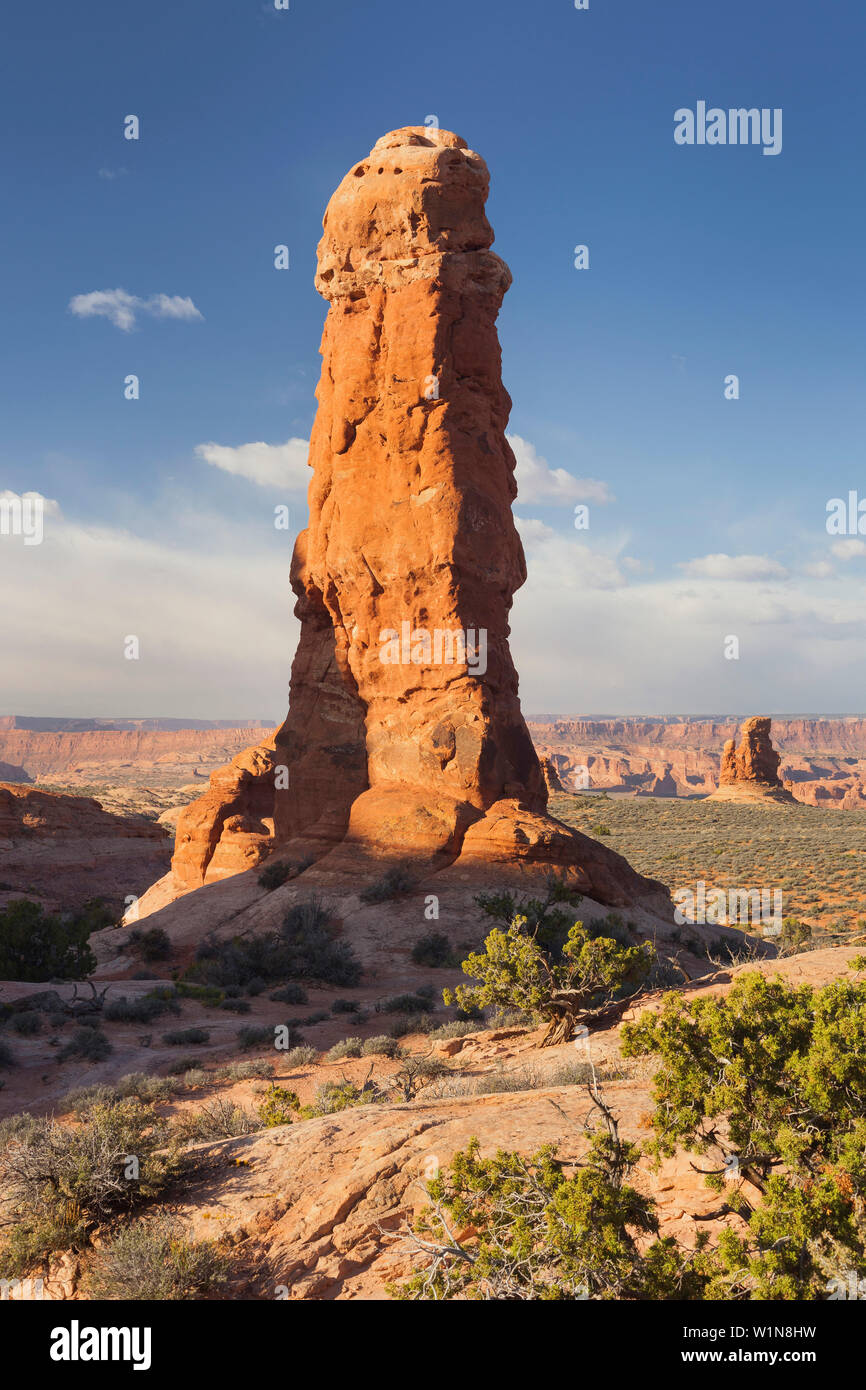 Sandsteinformationen, Garten Eden, Elephant Butte, Arches National Park, Moab, Utah, USA Stockfoto