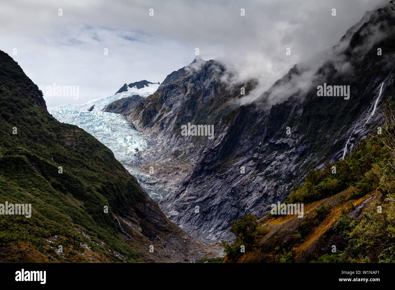 Franz Josef Gletscher, Südinsel, Neuseeland Stockfoto