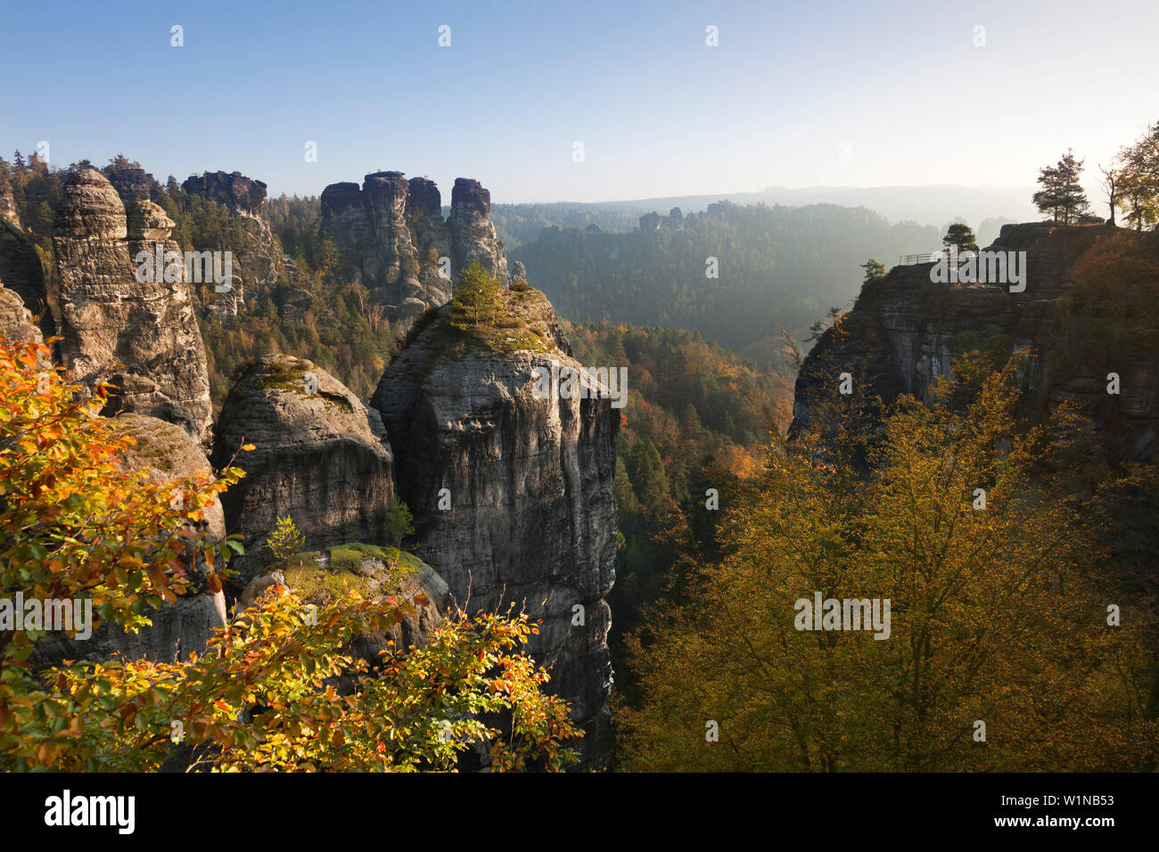 Gans Felsen bei Bastei Felsen, Nationalpark Sächsische Schweiz, Elbsandsteingebirge, Sachsen, Deutschland Stockfoto