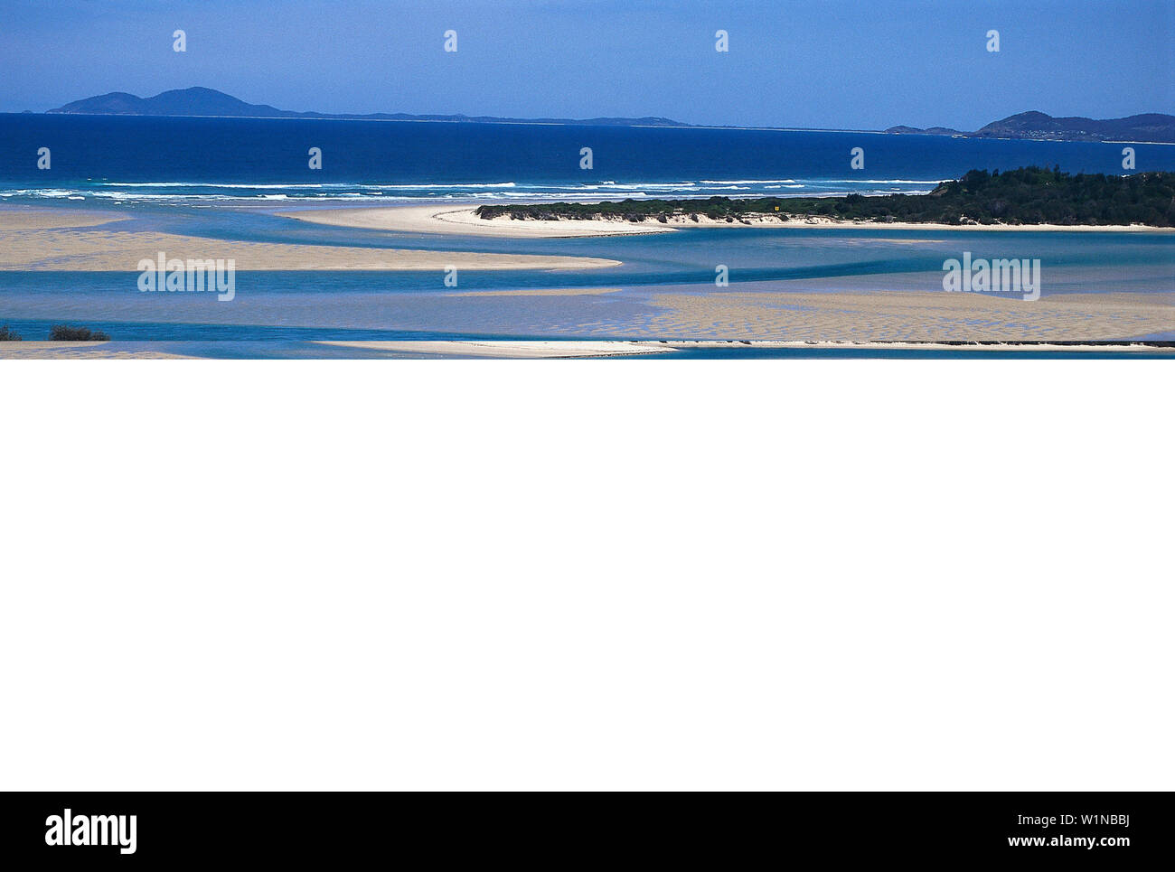 Küste mit Pelikan, Nambucca Heads NSW, Australien Stockfoto