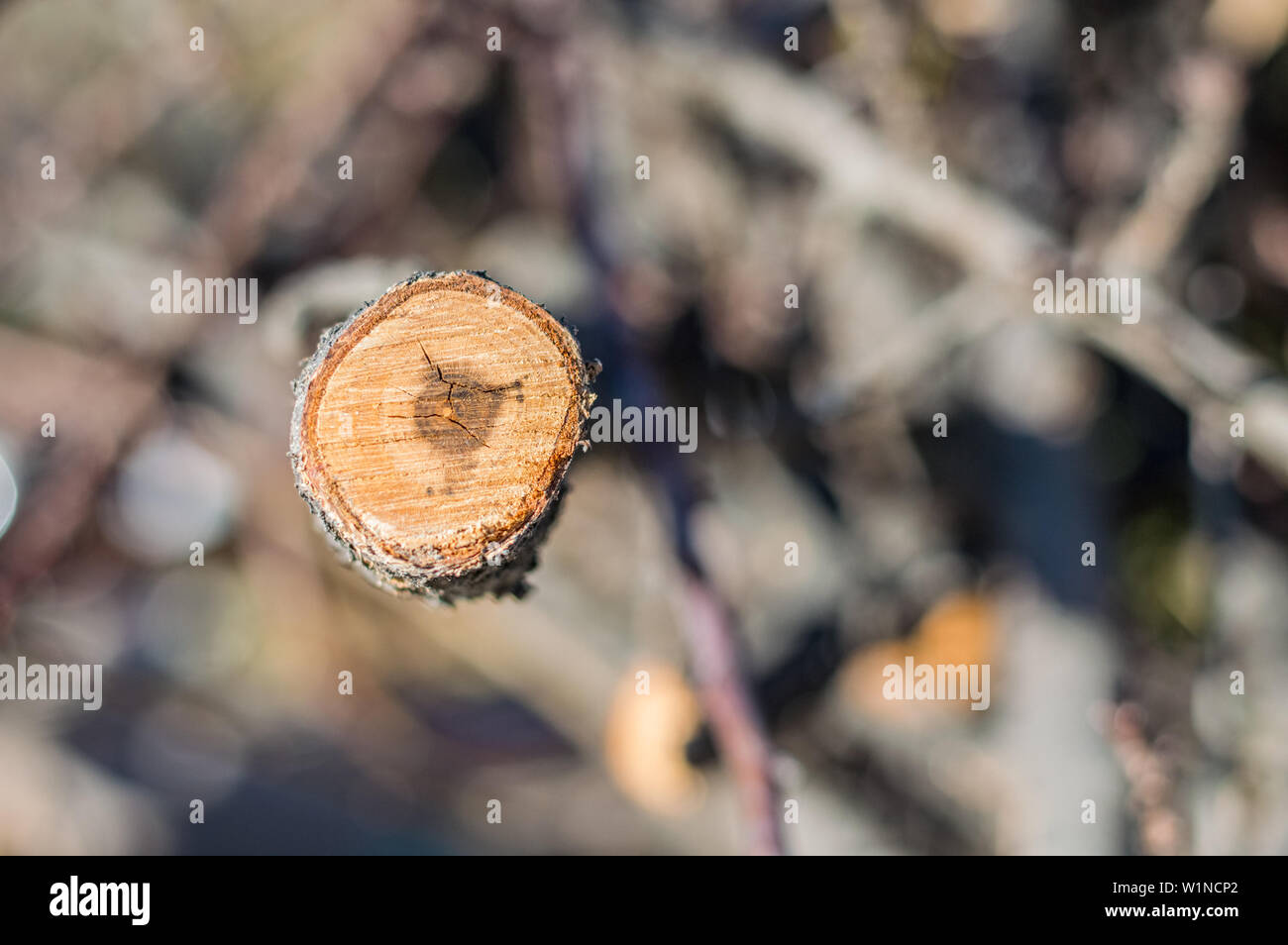 Brennholz vorbereitet für Heizung das Haus im Winter auf einem verschwommenen Hintergrund. Stockfoto