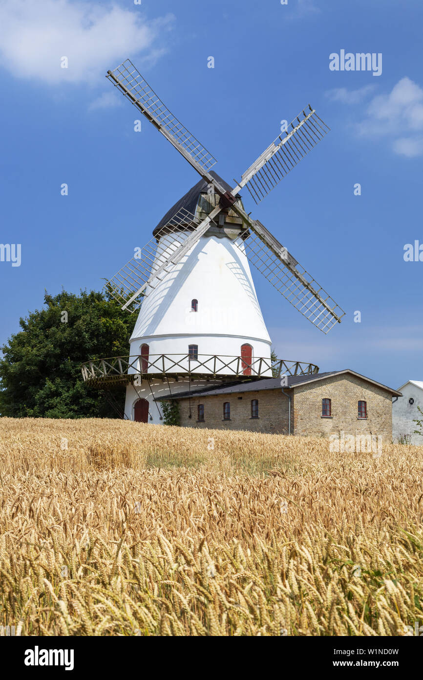 Lundsgardsmark Windmühle in der Nähe von Sønderborg, Süddänemark, Dänemark, Skandinavien, Nordeuropa Stockfoto