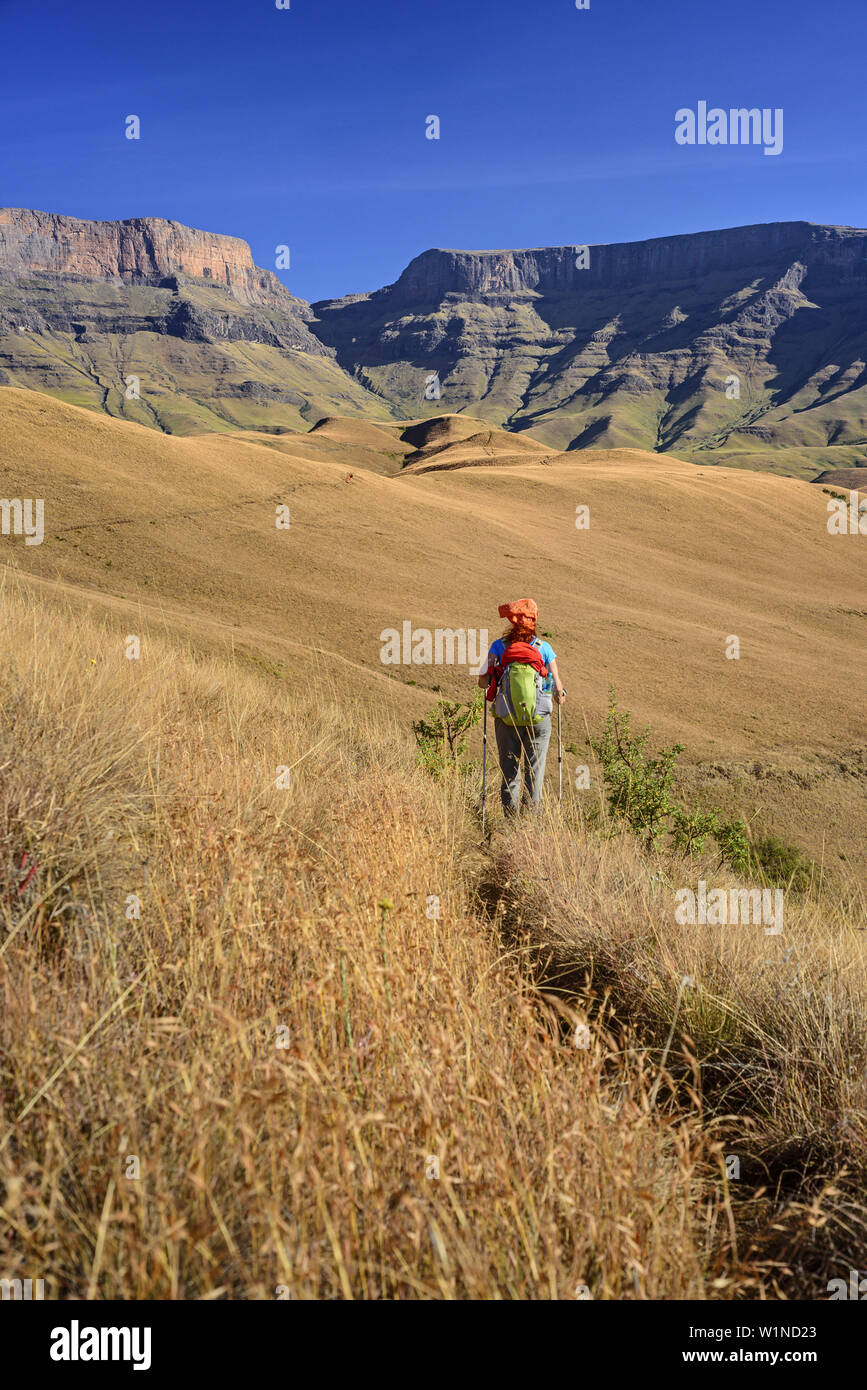 Frau wandern in Richtung Giant's Castle und Streb, Giant's Castle, Drakensberg, u Khahlamba-Drakensberg Park, UNESCO-Weltkulturerbe Maloti-Drakensb Stockfoto