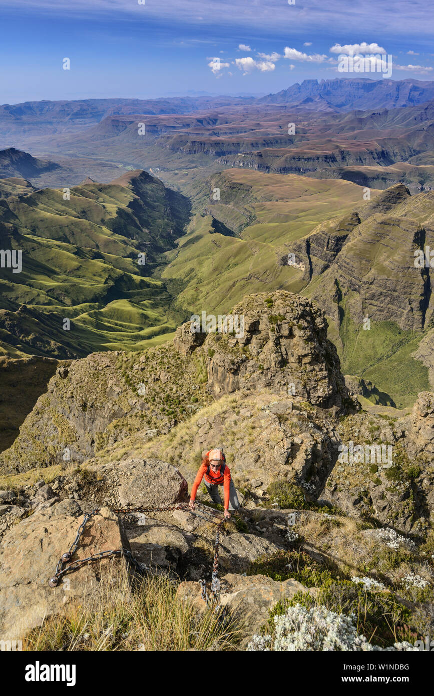Frau klettern über Leiter in Cathedral Peak, Cathedral Peak, Mlambonja Wilderness Area, Drakensberg, u Khahlamba-Drakensberg Park, UNESCO-Herita Stockfoto