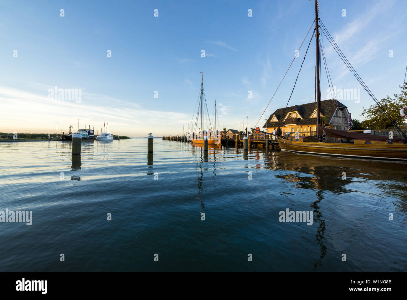 Zeesenboat in der Morgenstimmung am Hafen Althagen in Ahrenshoop von der Bodden auf dem Darß. Ahrenshoop, althagen, Darß, Mecklenburg-Vorpommern, Germa Stockfoto