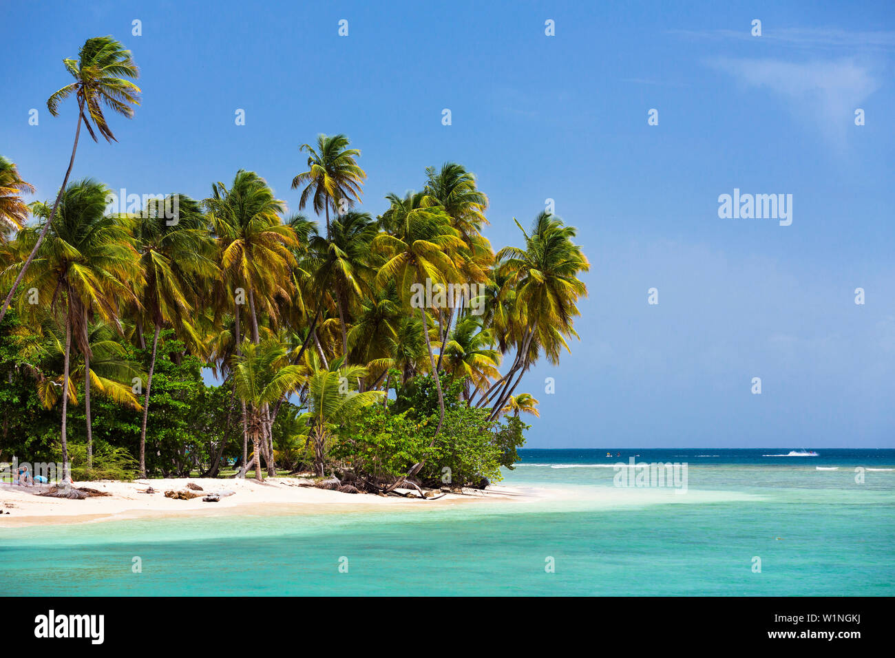 Sandstrand am Pigeon Point, Tobago, West Indies, Südamerika Stockfoto