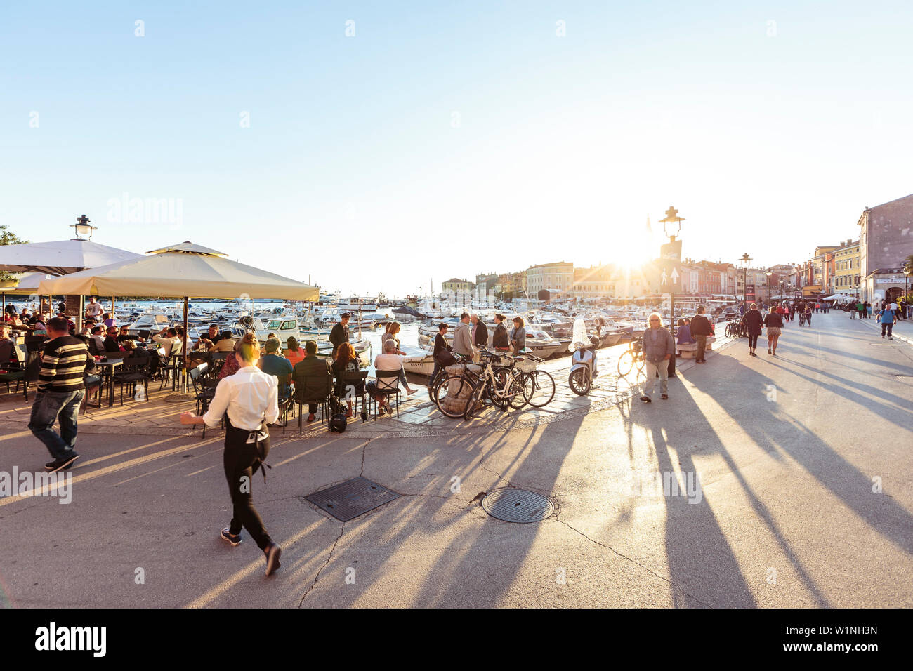 Hafen in der Abendsonne, Rovinj, Istrien, Kroatien Stockfoto