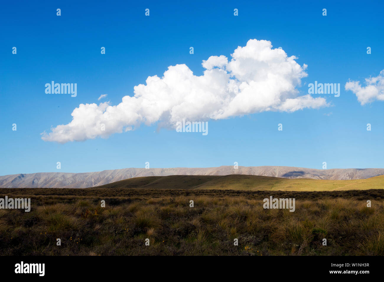 Die Oteake Conservation Park schützt einen hervorragenden Berglandschaft mit hohem Schutzwert, Otago, Südinsel, Neuseeland Stockfoto