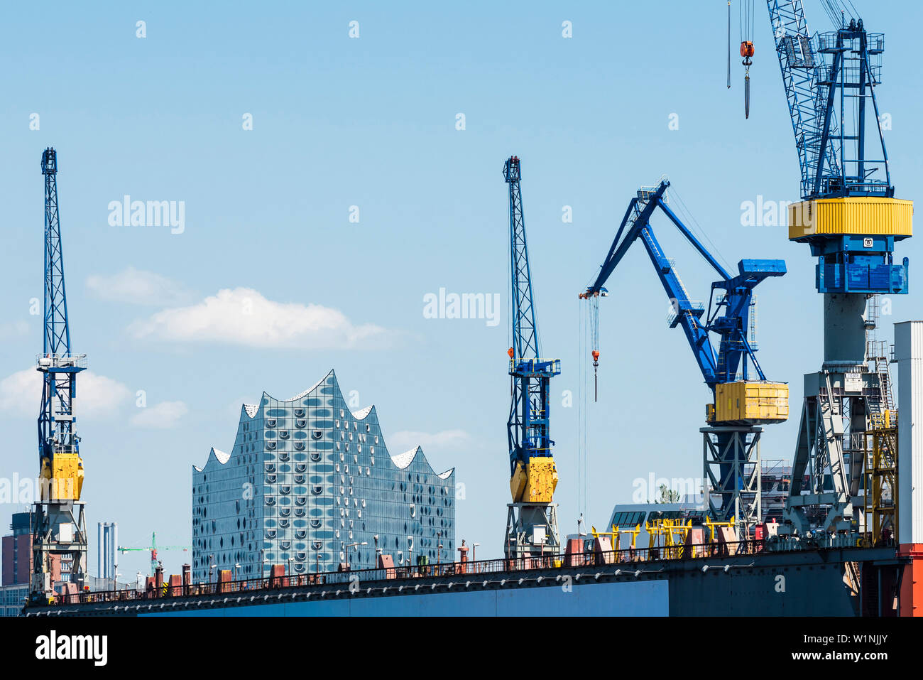 Die konzerthalle Elbphilharmonie durch Kräne der Werft Blohm und Voss, Hamburg, Deutschland gerahmt Stockfoto