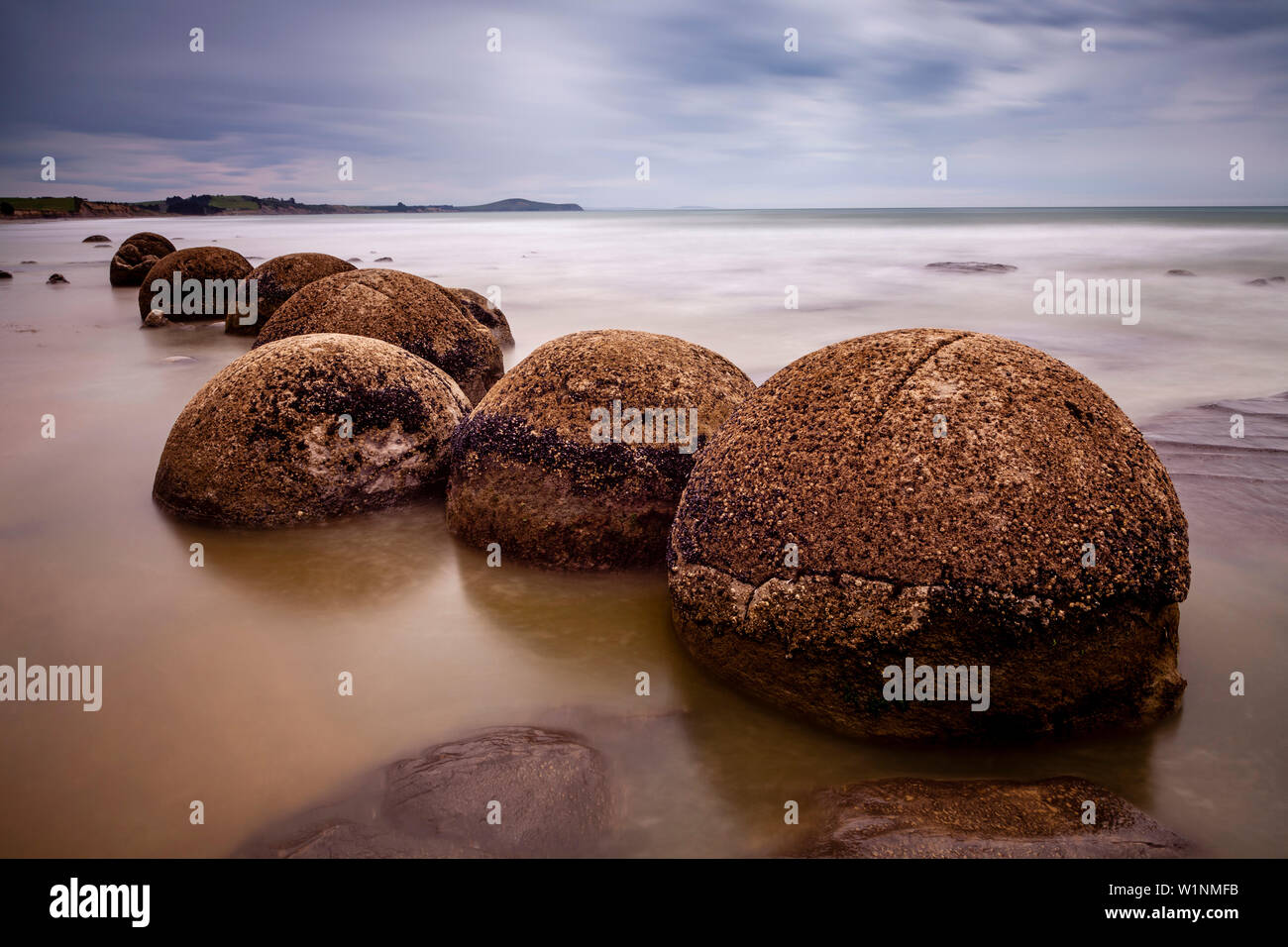 Die Moeraki Boulders, Otago Küste, Südinsel, Neuseeland Stockfoto