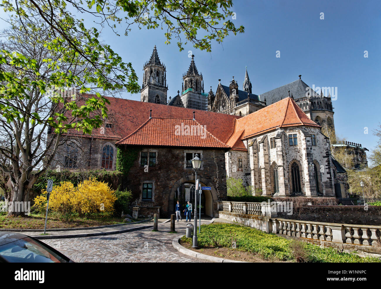 Magdeburger Dom im Sonnenlicht, Magdeburg, Sachsen-Anhalt, Deutschland, Europa Stockfoto