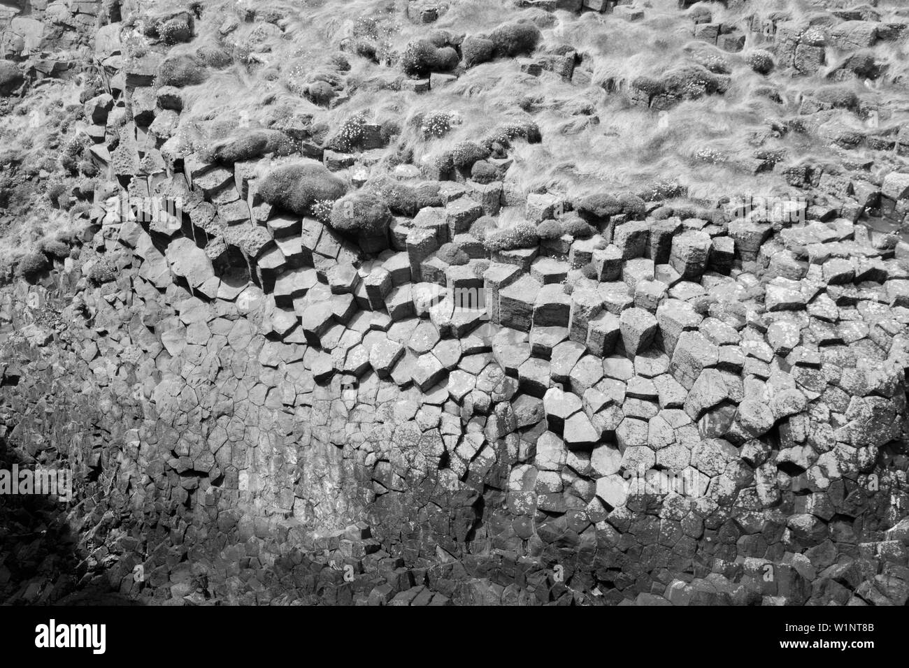 Basaltsäulen auf der Isle of Staffa in der Nähe des Landungsstegs Fingal's Cave, einer der Inseln der Inner Hebrides vor der Westküste Schottlands. Stockfoto