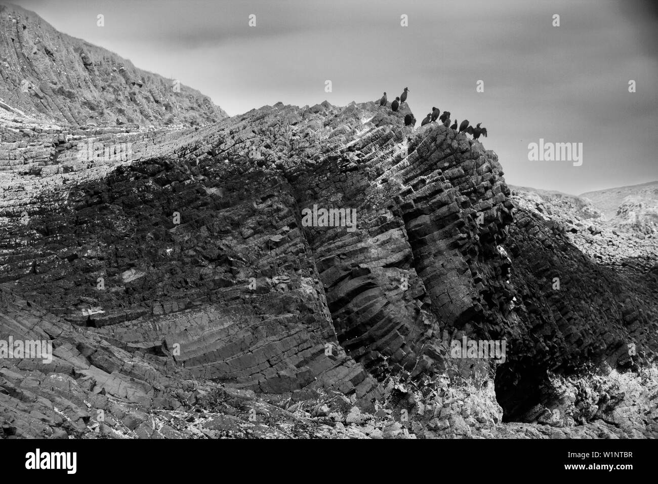 Verzerrte Basaltsäulen auf der Isle of Staffa nähe Landung jetty Fingal Höhle, eine der Inneren Hebriden Gruppe von Inseln vor der schottischen Westküste. Stockfoto