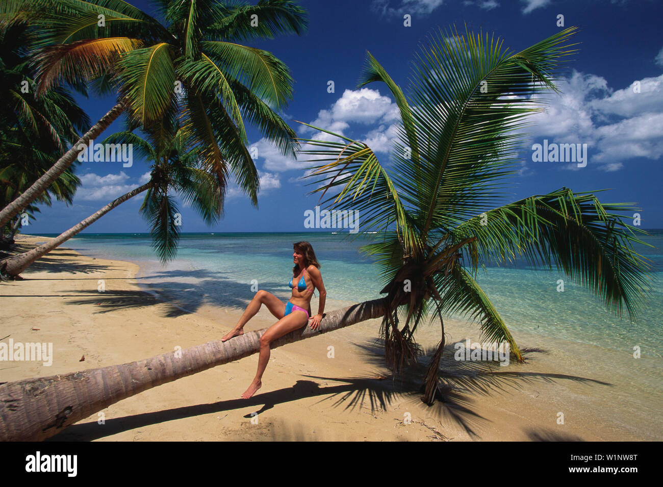 Junge Frau, Palmenstrand, Karibik Stockfoto