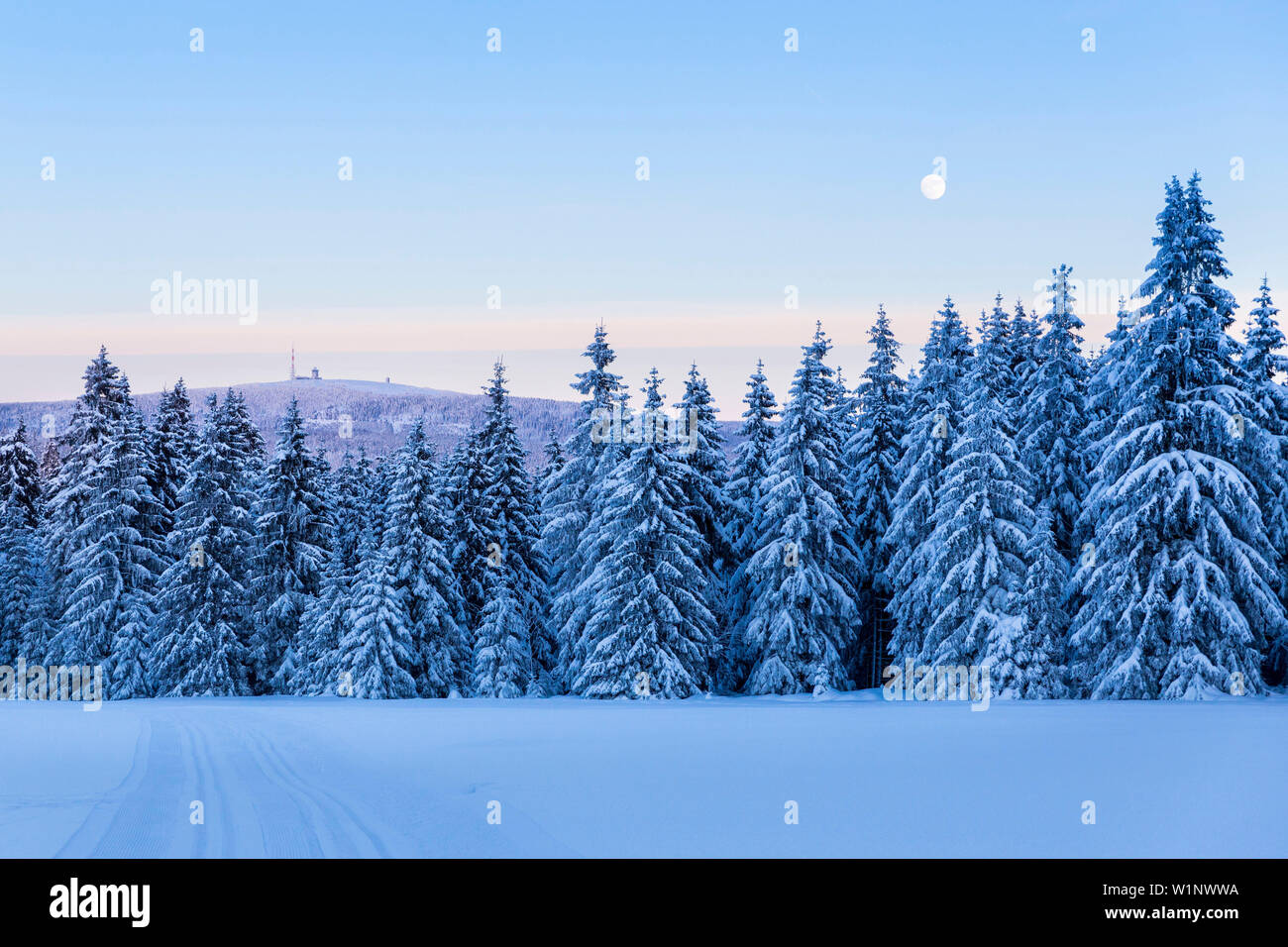 Blick auf den Brocken mit Vollmond, Winterlandschaft, Tannen mit Schnee bedeckt, Harz, Sankt Andreasberg, Niedersachsen, Deutschland Stockfoto