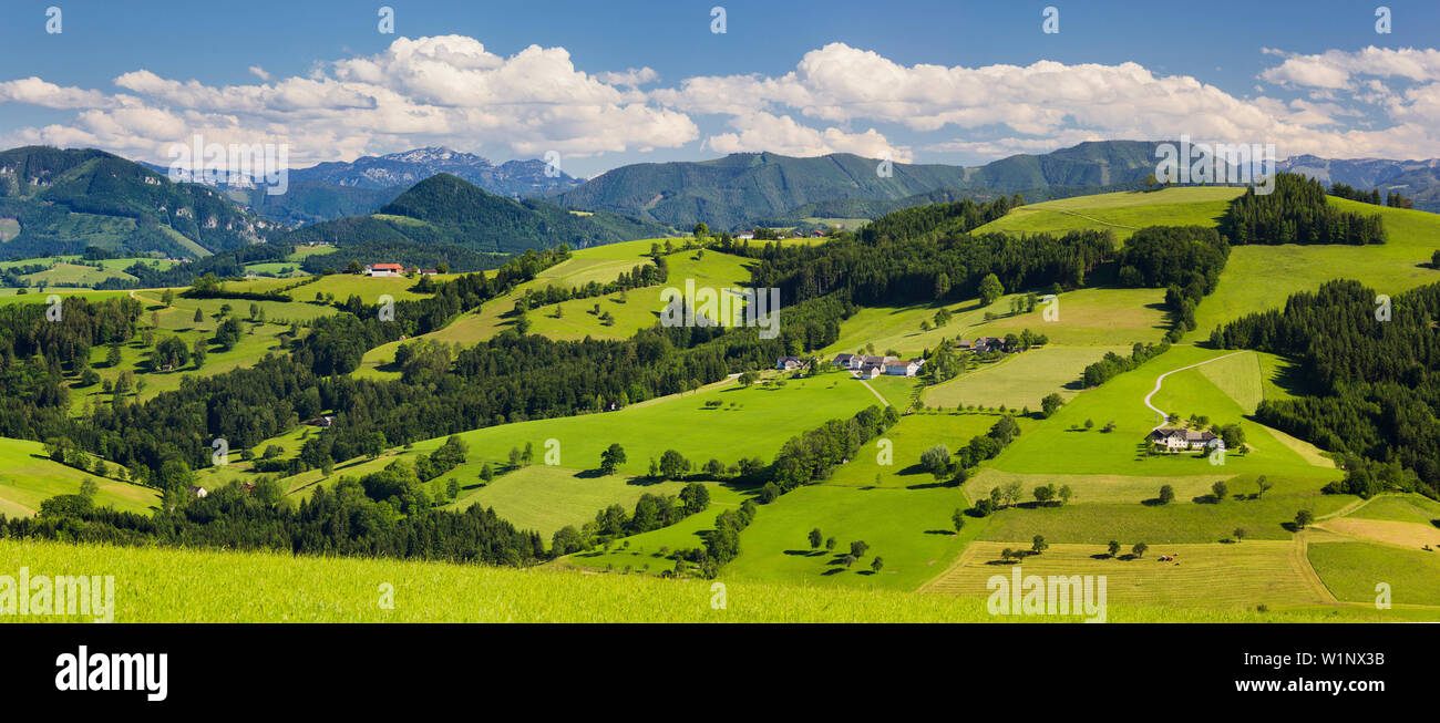 Voralpengebiet, in der Nähe von Waidhofen an der Ybbs, Niederösterreich, Österreich Stockfoto