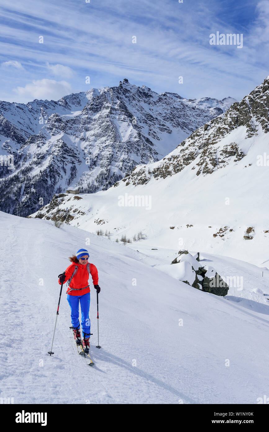Frau back-country skiing aufsteigender Richtung Sella d'Asti, Pic d'Asti im Hintergrund, Sella d'Asti, Valle Varaita, Cottischen Alpen, Piemont, Italien Stockfoto