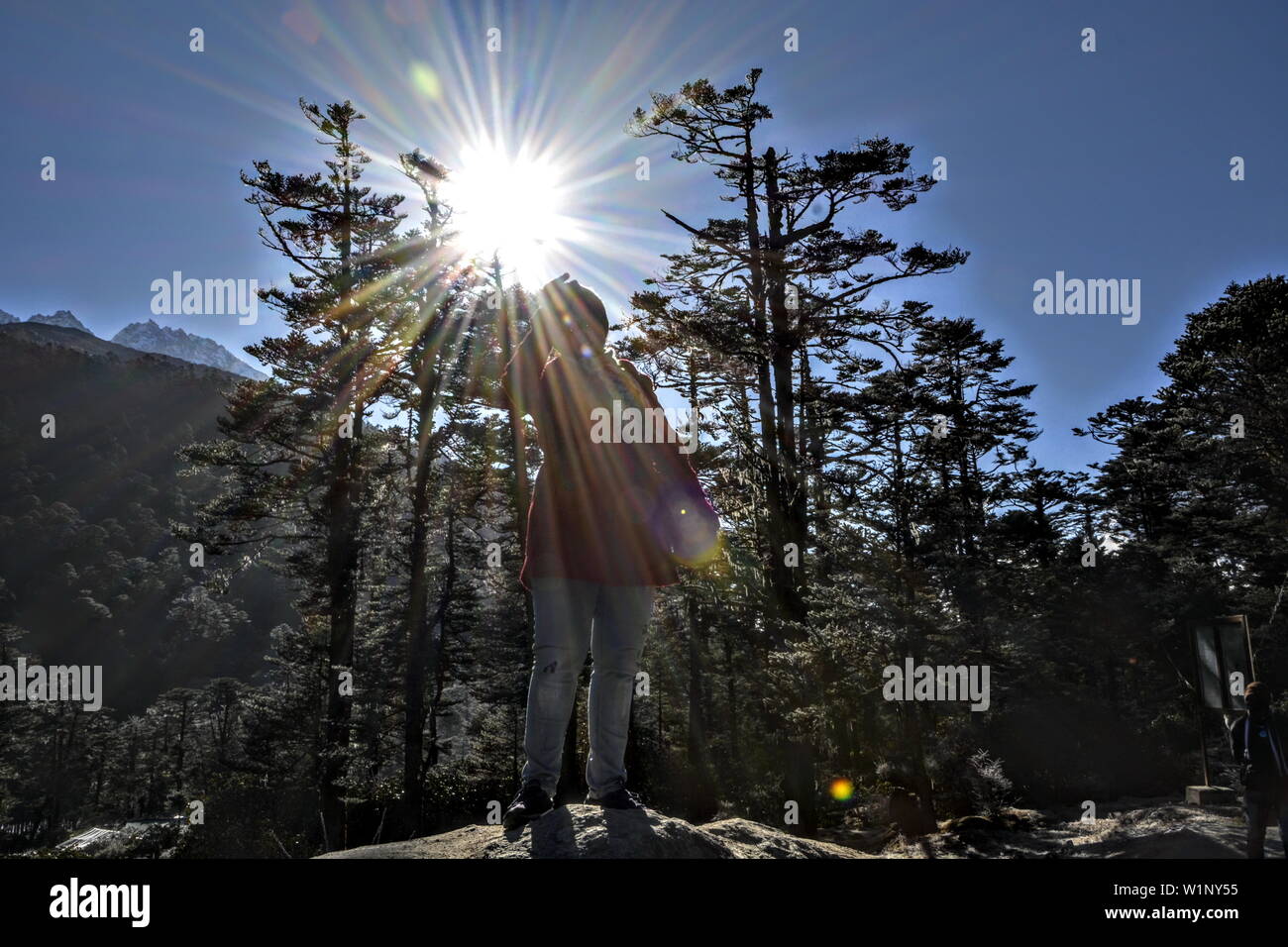 Yumthung Tal - Sikkim Stockfoto
