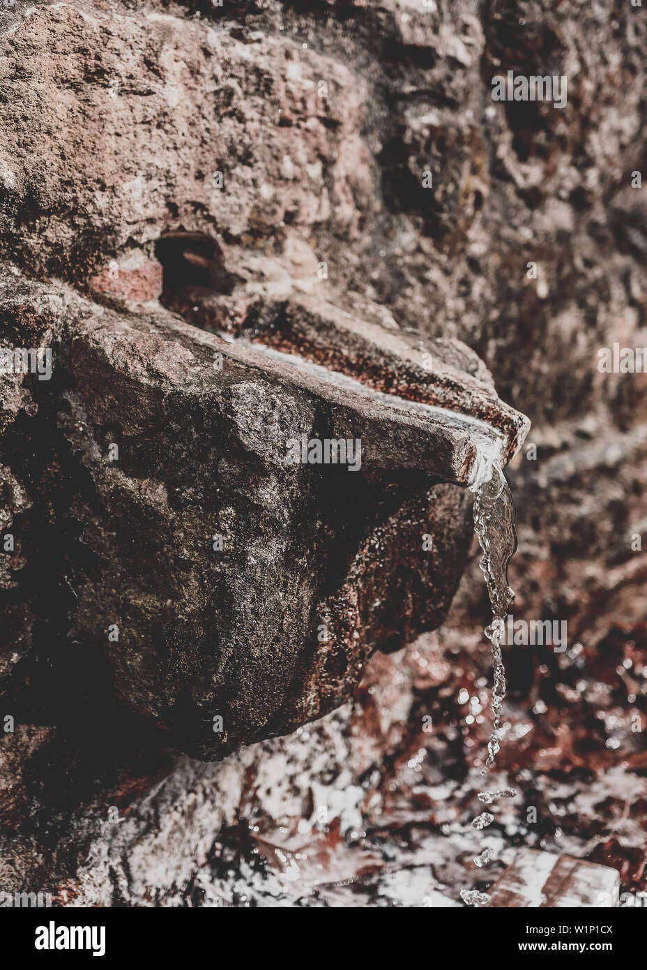 Arzneimittel Schwefelsäure Wasser fontain in Xirimbao Park, Galizien, Spanien Stockfoto Arzneimittel Schwefelsäure Wasser fontain in Xirimbao Park, Galizien, Spanien Stockfoto