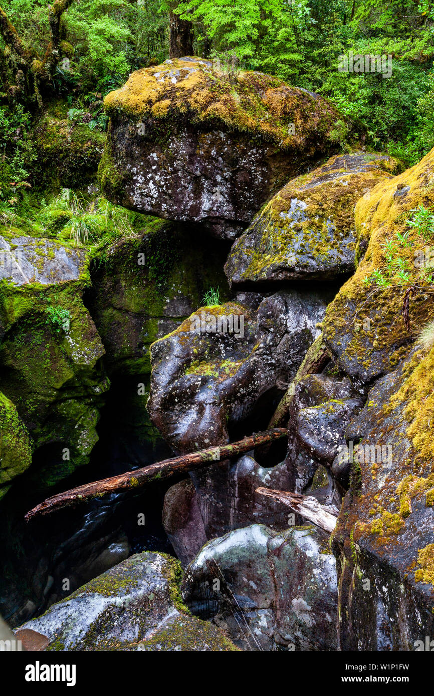 Abgrund gehen, weg von den Milford Highway, Fiordland National Park, South Island, Neuseeland Stockfoto