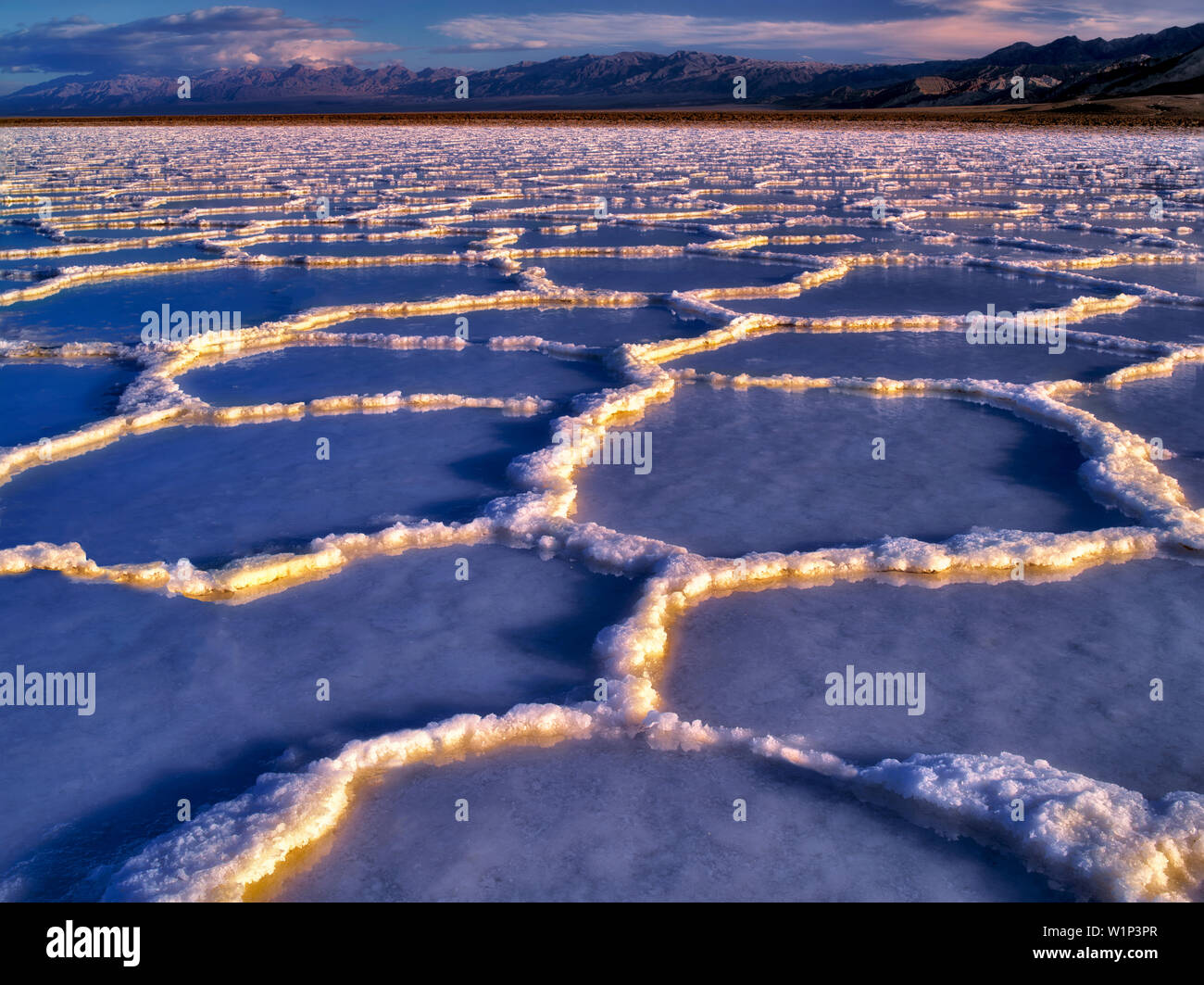 Salz Polygone mit Wasser in ihnen nach Regen Sturm. Death Valley Nationalpark, Kalifornien. Stockfoto