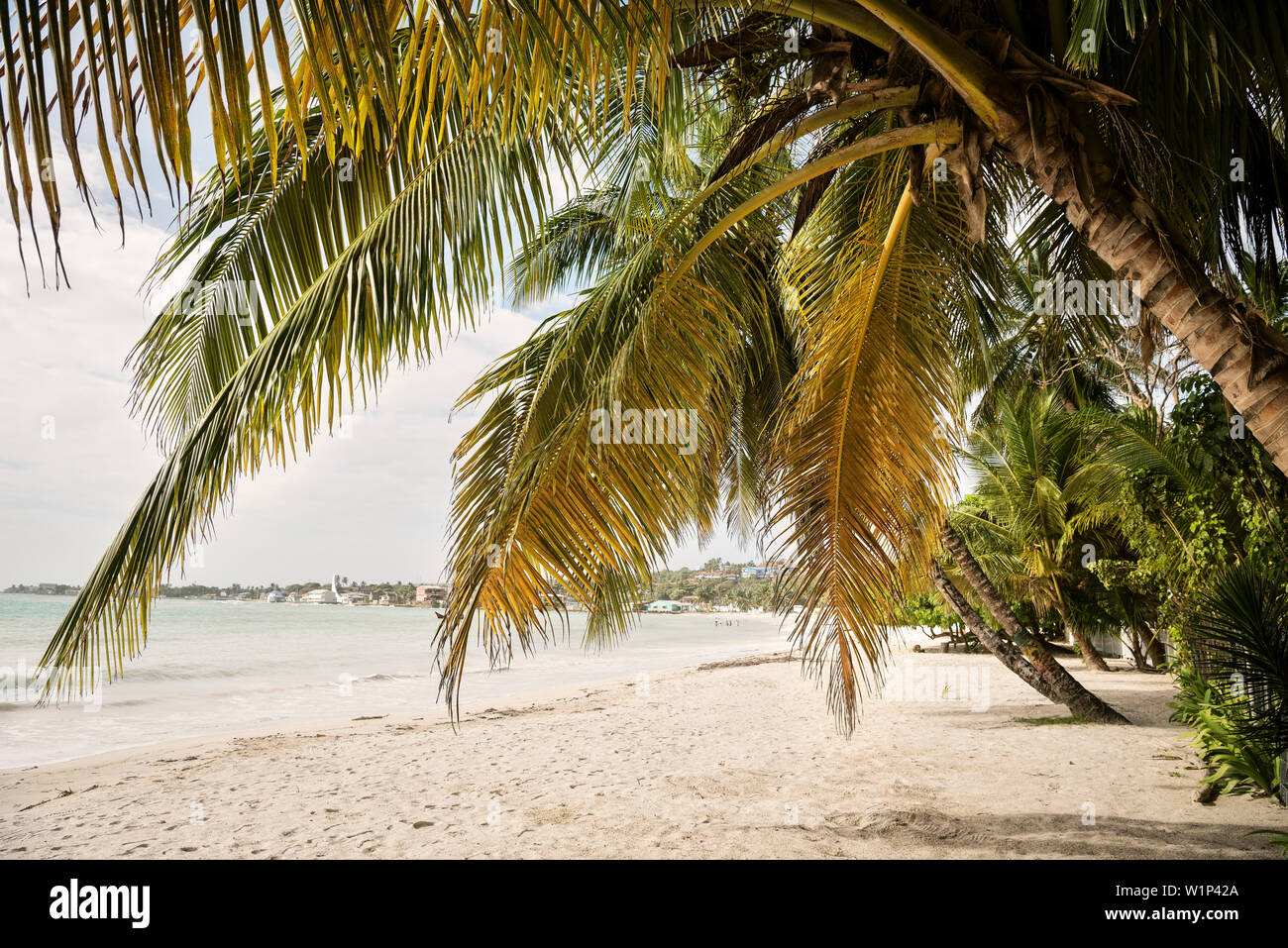 Caribbean Beach der Begierde bei San Andres Island, Departamento San Andrés und Providencia, Kolumbien, Karibik, Südamerika Stockfoto