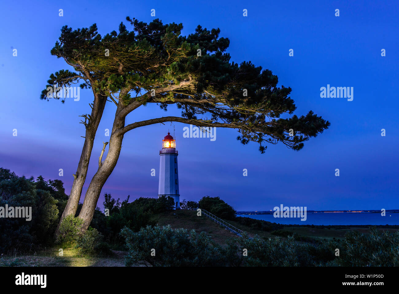 Leuchtturm Dornbusch, Hiddensee, Rügen, Ostsee, Mecklenburg-Vorpommern, Deutschland Stockfoto