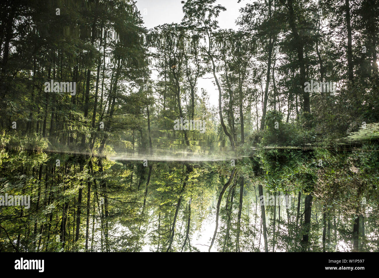 Biosphärenreservat Spreewald, Deutschland, Wandern, Kajakfahren, Erholungsgebiet, Familienurlaub, Familienausflug, Paddeln, Rudern, Wüste, Ausflug, Tag Stockfoto