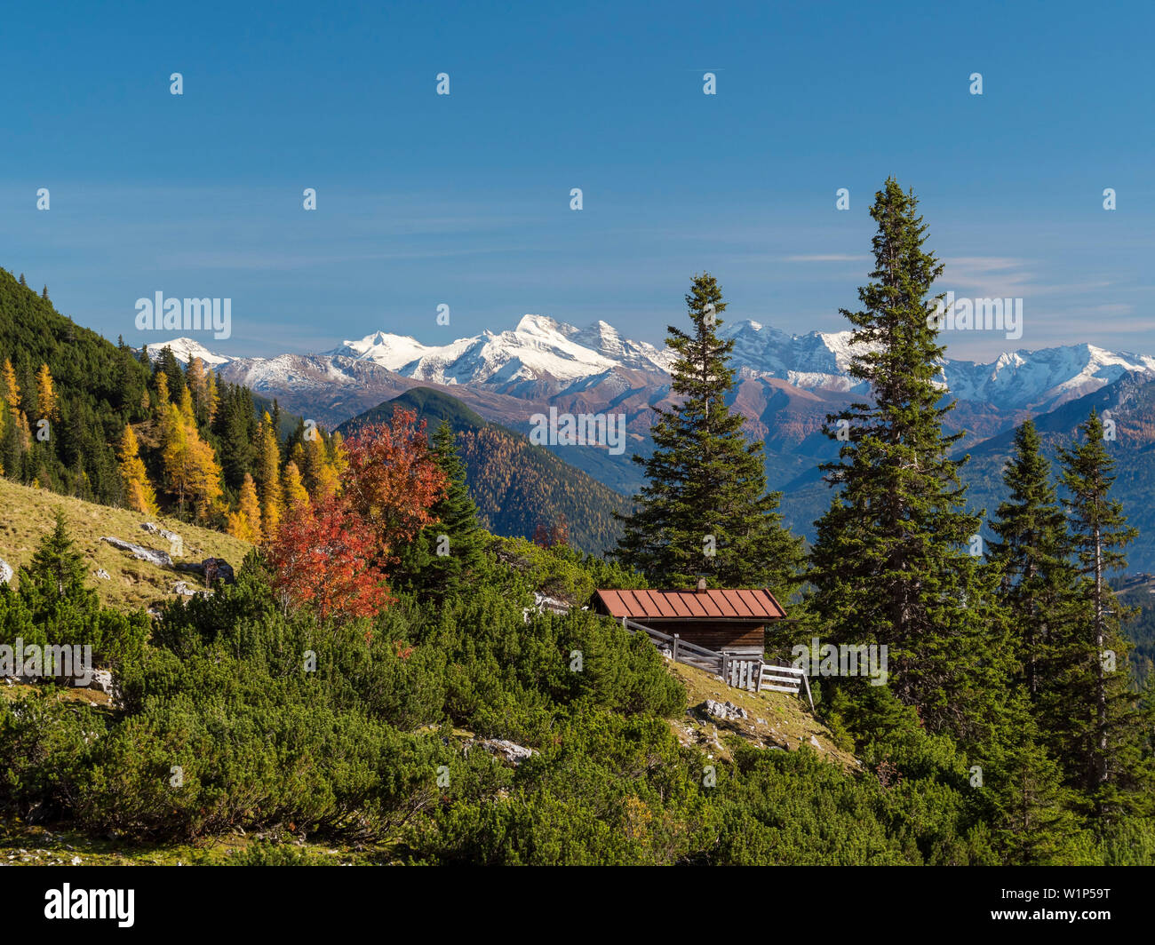 Bergwandern, südlichen Hang des Wettersteingebirges Jagdhütte, auf die Gipfel der Zillertaler Alpen Olperer, Tirol, Österreich, Europa anzeigen Stockfoto