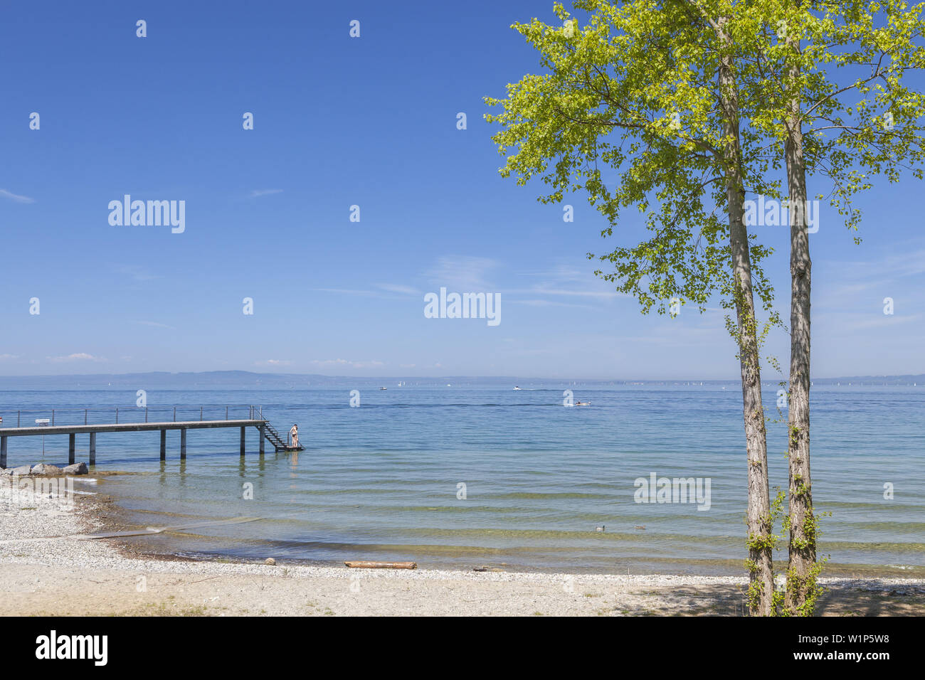 Strand in Rorschach am Bodensee, Kanton St. Gallen, Ostschweiz, Schweiz, Europa Stockfoto