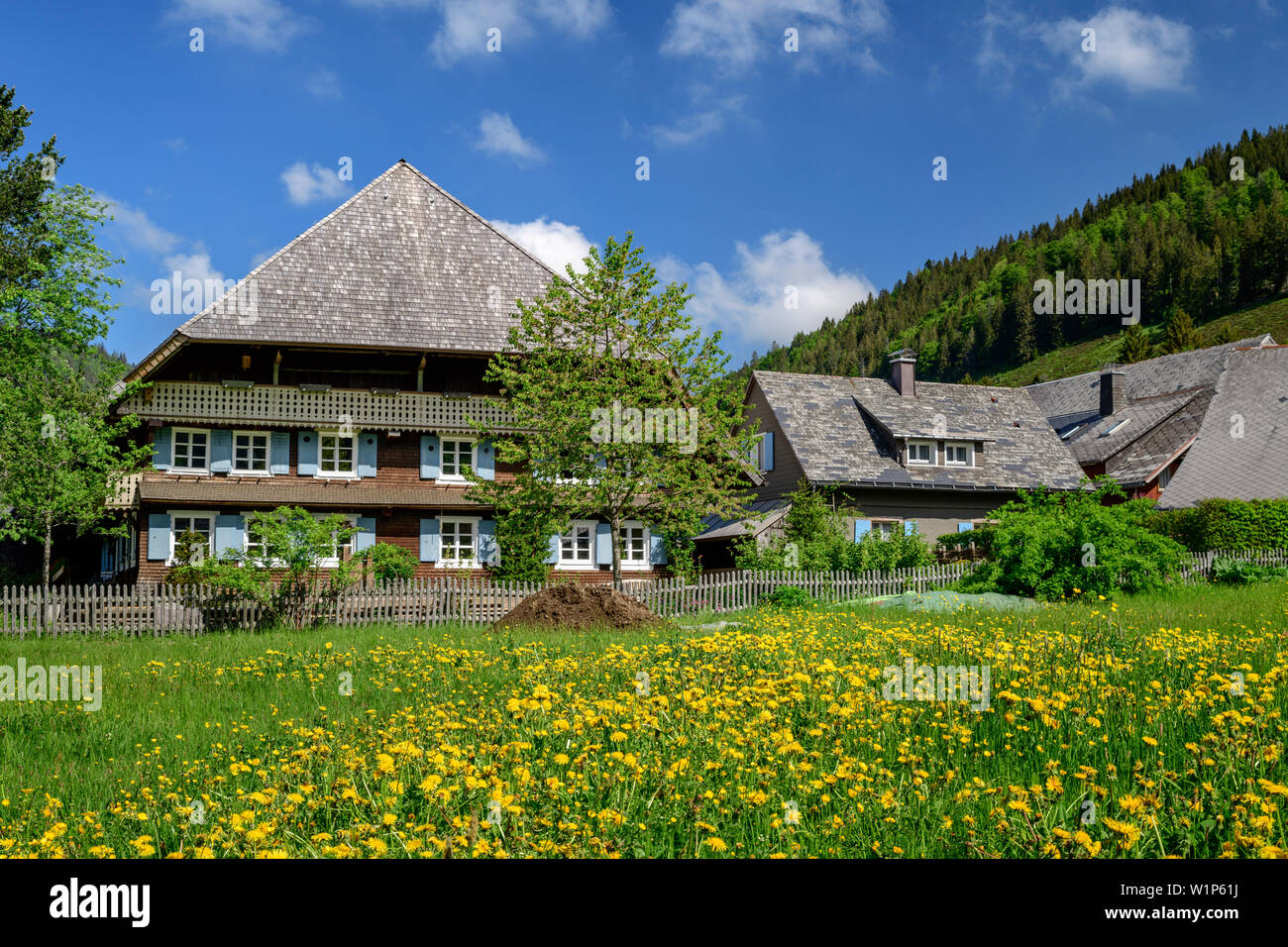 Traditionelle Häuser der Schwarzwald in Menzenschwand, Albsteig, Schwarzwald, Baden-Württemberg, Deutschland Stockfoto