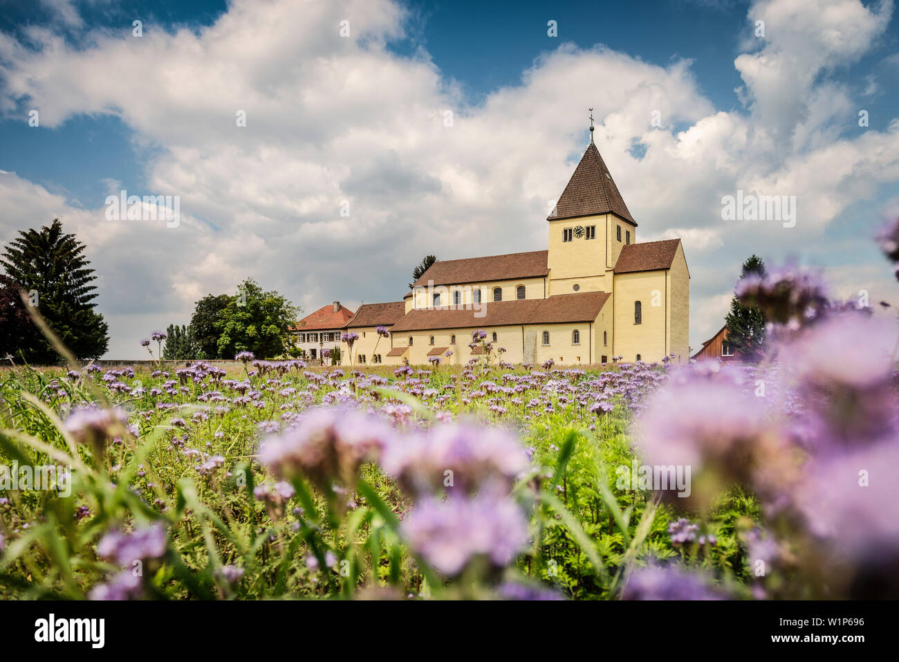 UNESCO-Welterbe Klosterinsel Reichenau, Kirche St. Georg in Oberzell, Bodensee, Baden-Württemberg, Deutschland Stockfoto
