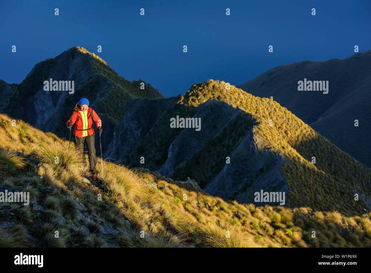 Frau wandern aufsteigender Richtung Roys Peak, Blick auf Lake Wanaka, von Roys Peak, Harris Mountains, Mount Aspiring Nationalpark, UNESCO Welterbe Te Wahi Stockfoto
