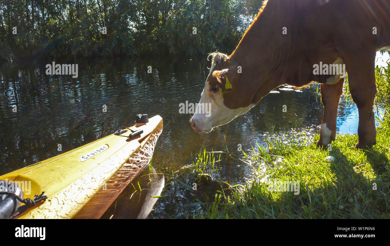 Biosphärenreservat Spreewald, Deutschland, Wandern, Kajaktouren, Naherholungsgebiet, Familienurlaub, Familienausflug, Paddeln, Rudern, Wüste, Ausflug, Stockfoto