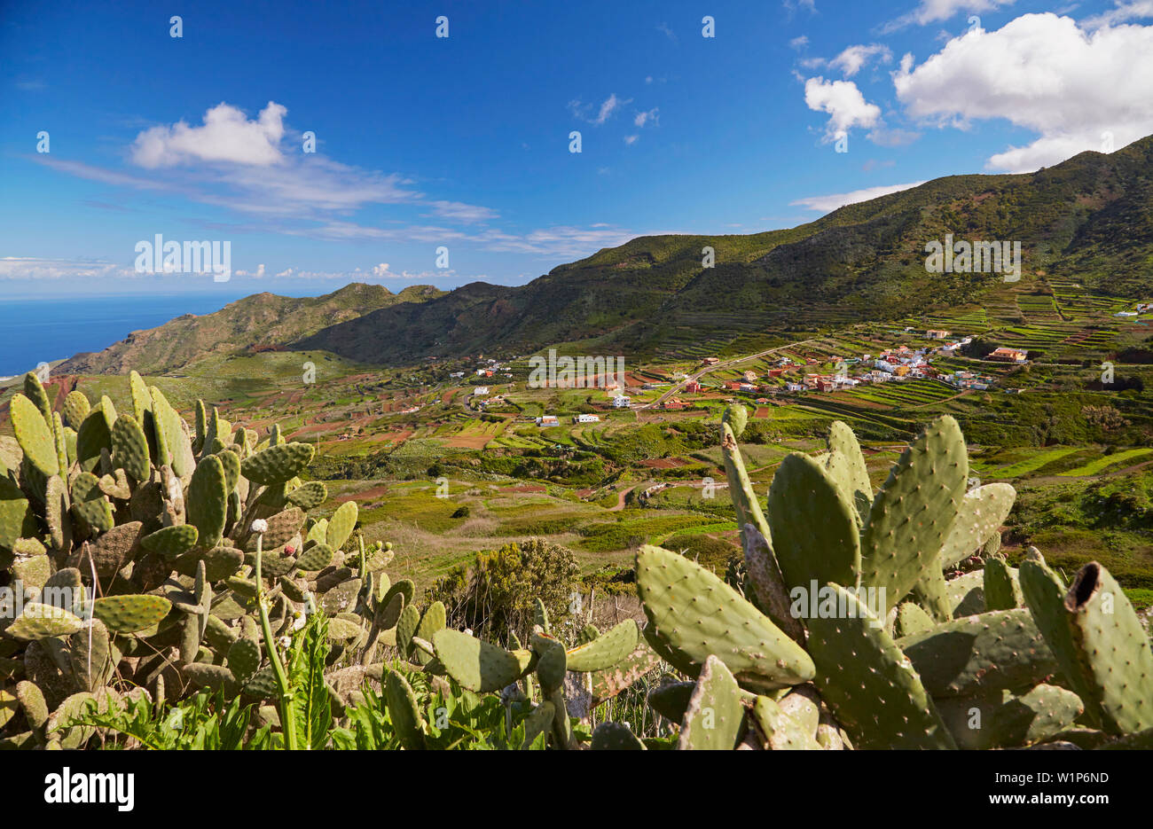 Blick über üppige Vegetation in Las Portelas, Teno Gebirge, Teneriffa, Kanarische Inseln, Islas Canarias, Atlantik, Spanien, Europa Stockfoto