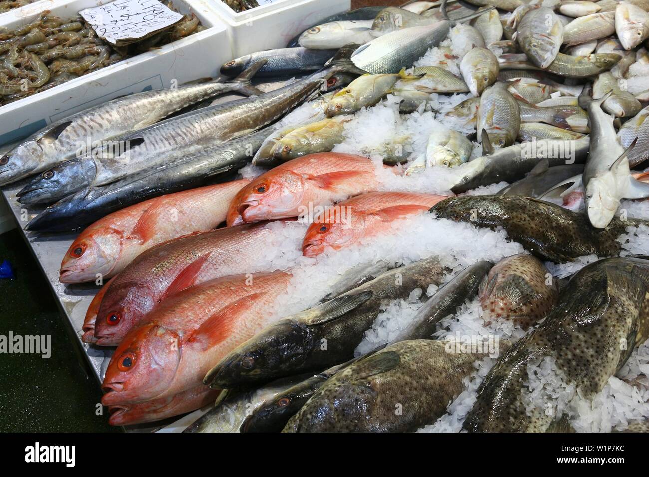 Sea Food auf Billingsgate Fish Market in Pappel, London, UK. Stockfoto