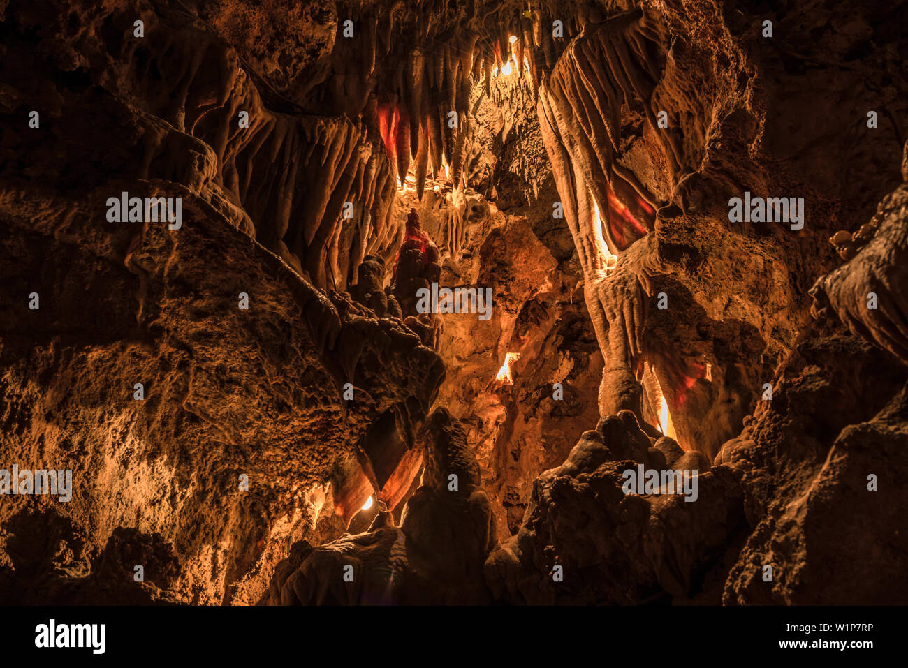 Stalaktiten und Stalagmiten beleuchtet in einer Höhle, Grotte de Saint-Cezaire, Provence-Alpes-Cote d'Azur, Frankreich Stockfoto