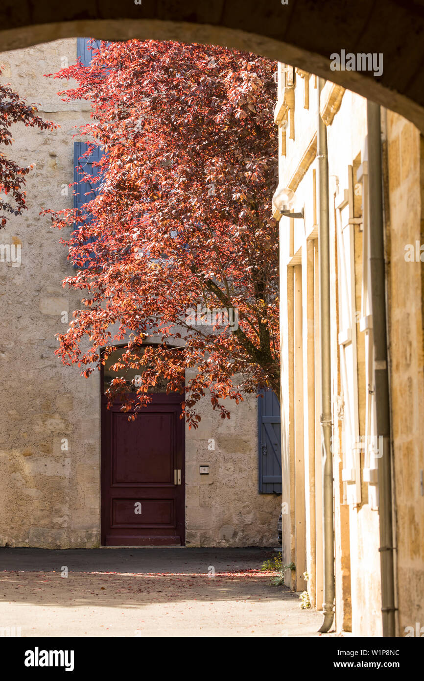 Innenhof mit rot grünen Baum und eine rote Tür Stockfoto