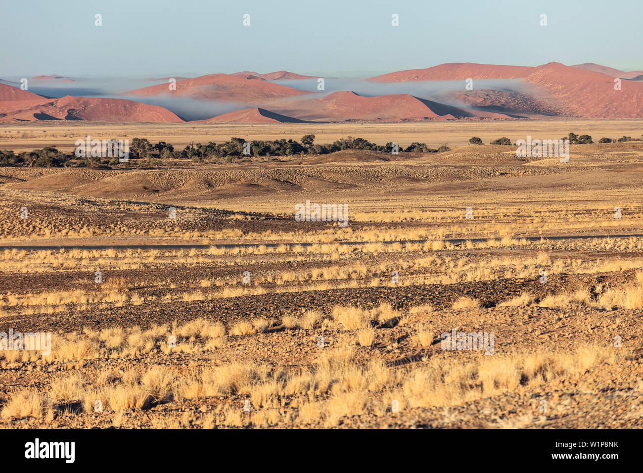 Morgen Nebel zwischen den Dünen von Sossusvlei nach einer kalten Nacht, Namib Naukluft National Park, Hardap, Namibia, Afrika. Stockfoto