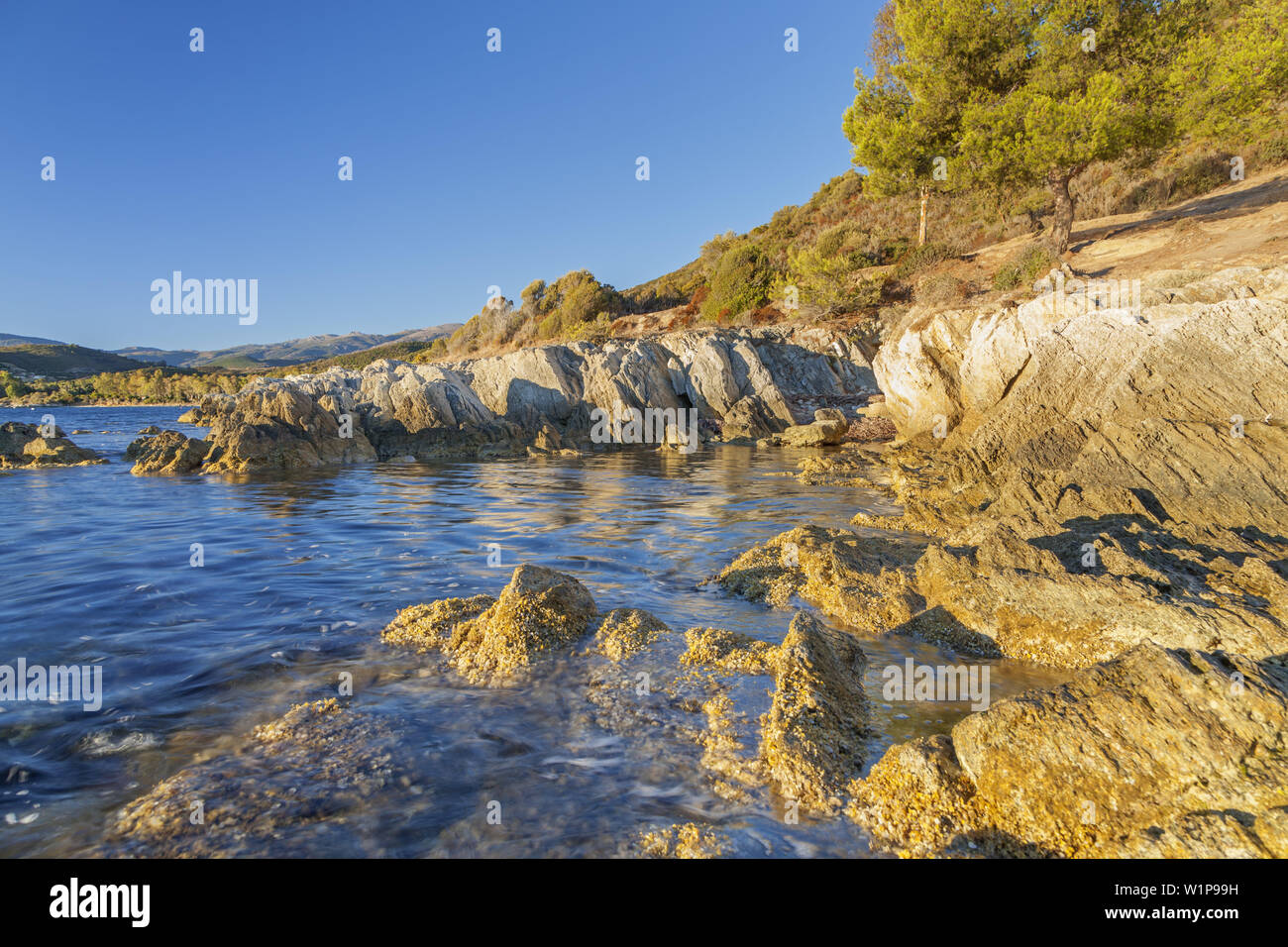 Küste in der Wüste von Agriates, in der Nähe von Saint-Florent, Korsika, Südfrankreich, Frankreich, Südeuropa Stockfoto