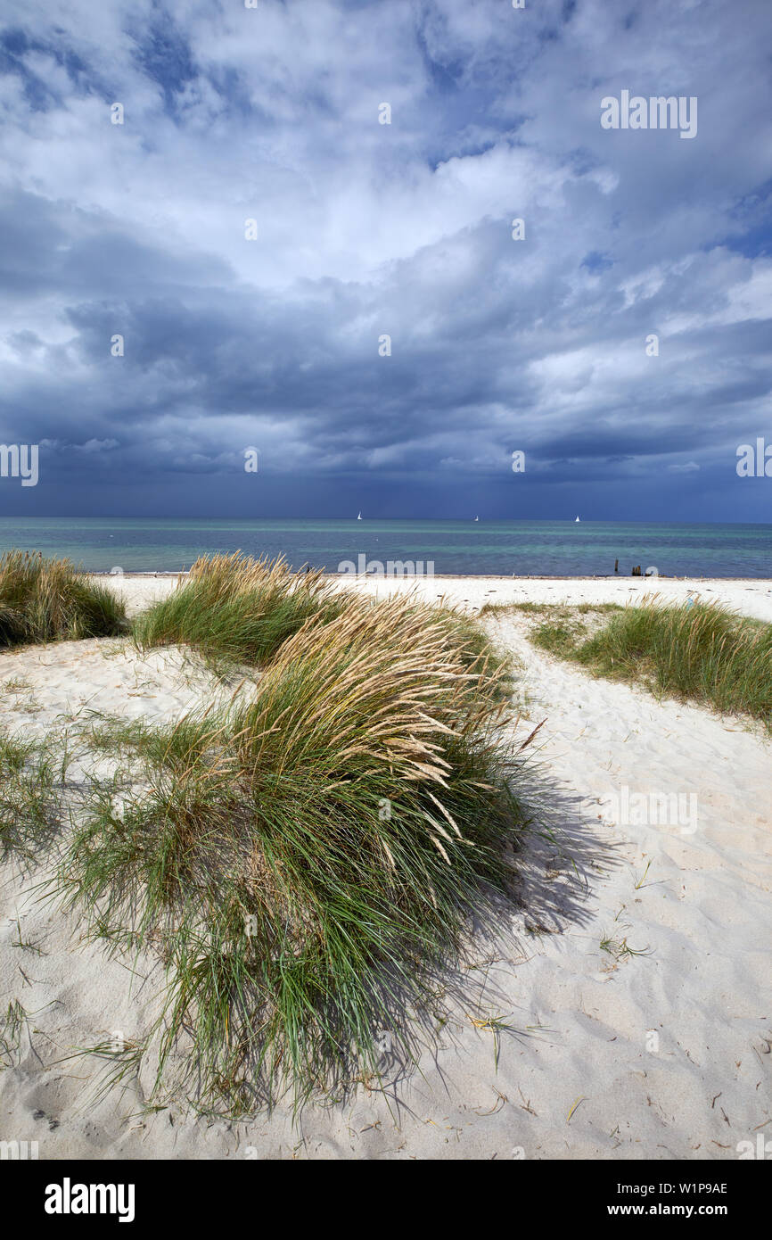 Batic Küste bei Kühlungsborn, Mecklenburg-Vorpommern, Deutschland Stockfoto