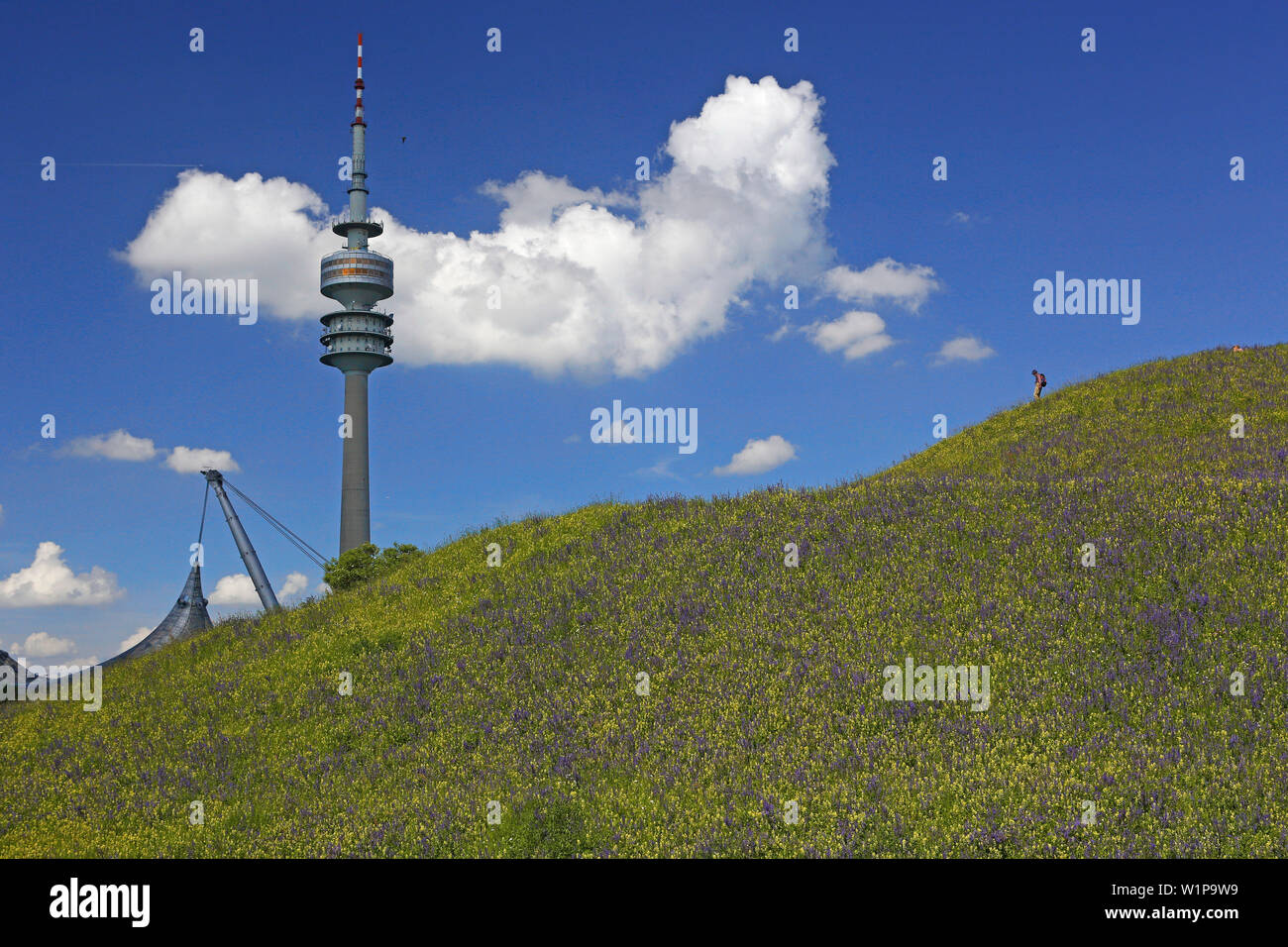Dachkonstruktion von den Olympischen Stadion und Olympic Tower, Olympiapark, München, Oberbayern, Bayern, Deutschland Stockfoto