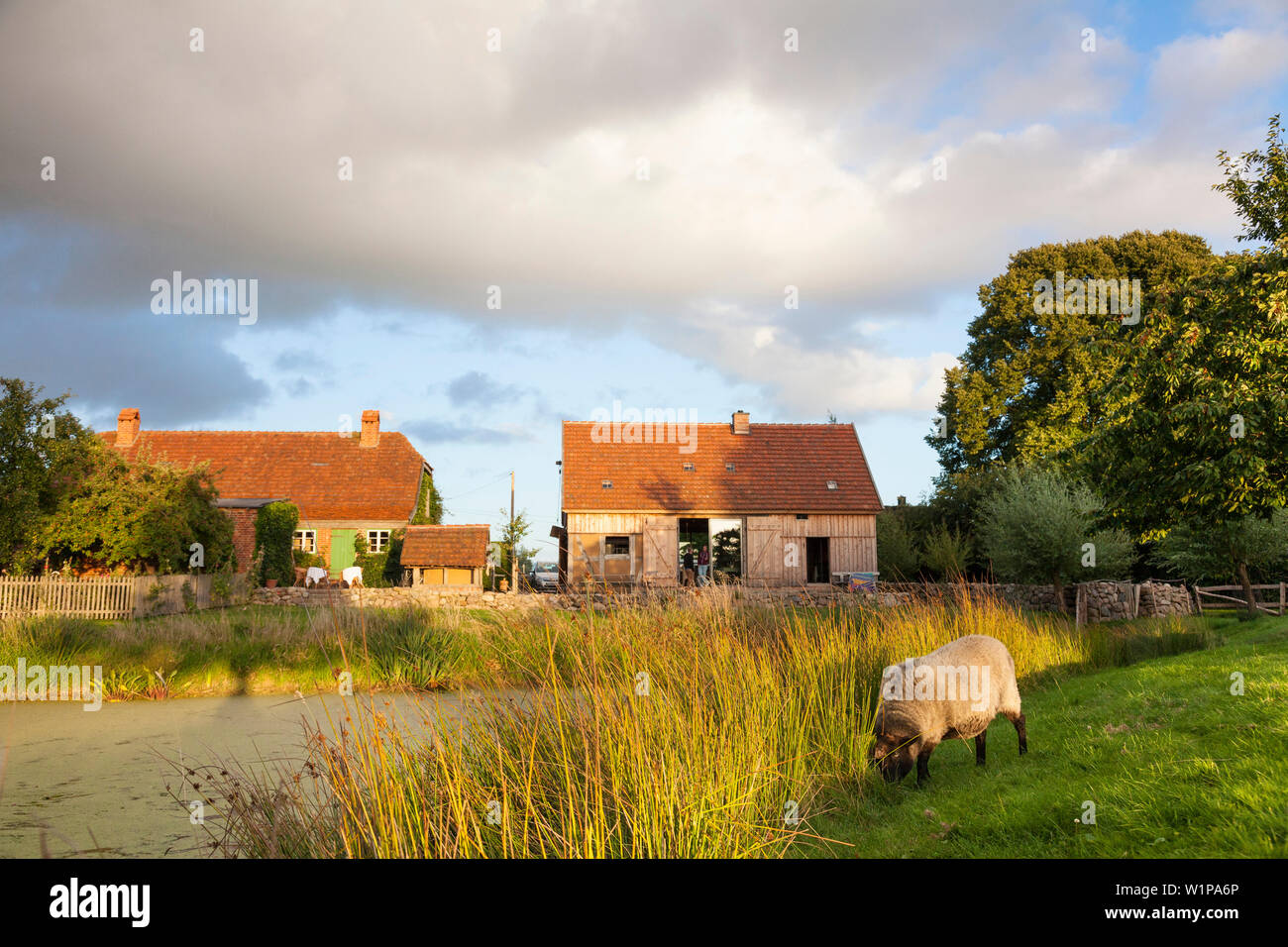 Urlaub in der Natur, Bauernhof, Farm house Bauernkate, Teich, Schafe