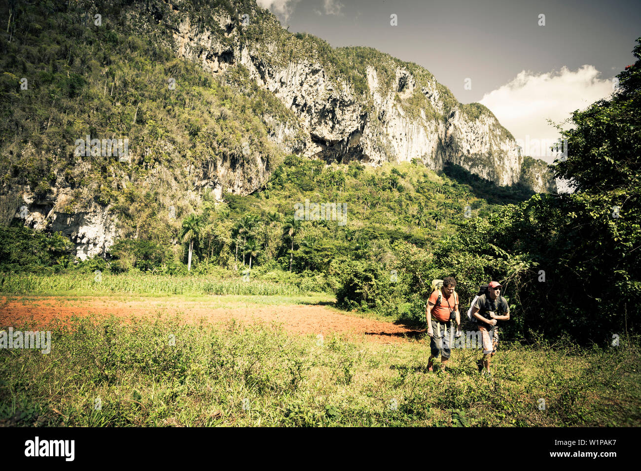 Wandern im Valle de Vinales, UNESCO Nationalpark, Pinar del Rio, Kuba, Karibik, Lateinamerika, Nordamerika Stockfoto