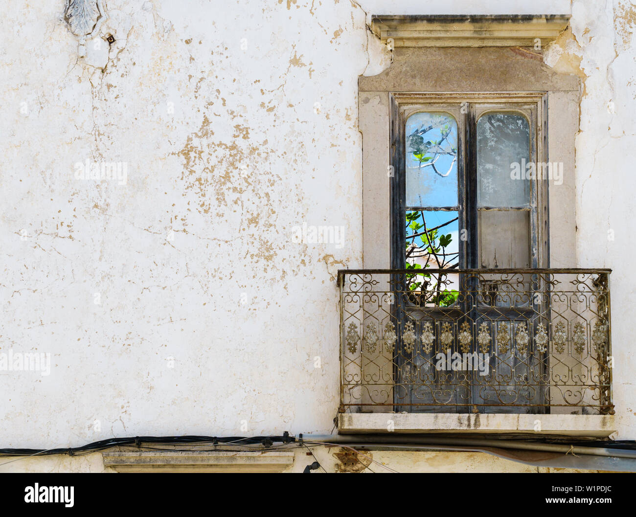 Der Blick durch die französischen Fenster in einem trostlosen verwitterten Hausfassade in Portugal zeigt die lebendige Schönheit der Natur (Frontal, Querformat Stockfoto
